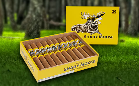 Shady Moose