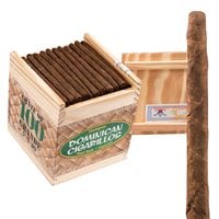 Dominican Box Pressed Grande Natural Cigarillo Pack Size 100 (Cigarillos) (5.0"x30) Box of 100