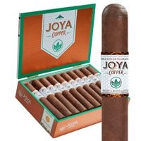 Joya de Nicaragua Copper Robusto Cigars