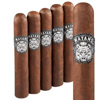 Mayans M.C. Robusto (5.0"x52) Pack of 5