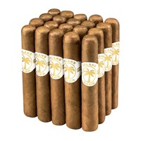 Island Club Robusto Connecticut Cigars