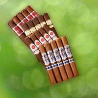 Box-Pressed Bargain Mega-Selection  20-Cigar Sampler