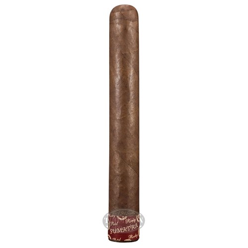 Rocky Patel Edge Toro Sumatra Cigars